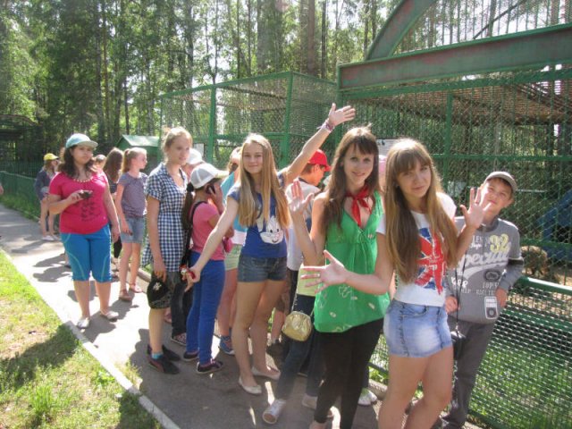 Лагерь елочка орел карта